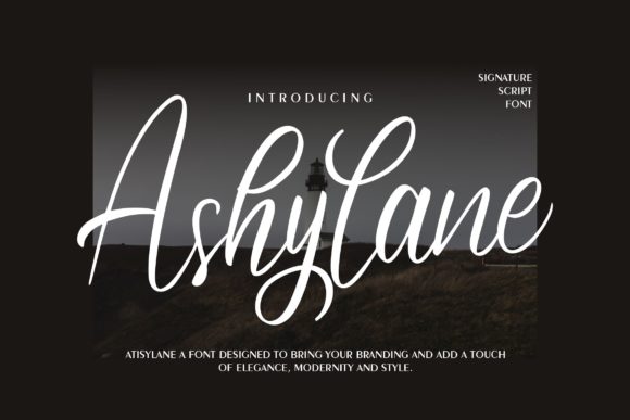 Ashylane Script: A Designer's Take
