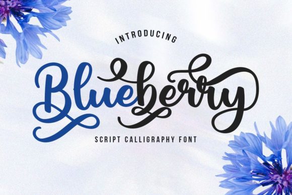 Blueberry Script Font for Creative Projects