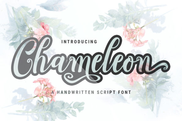 Chameleon Script: A Font That Adapts