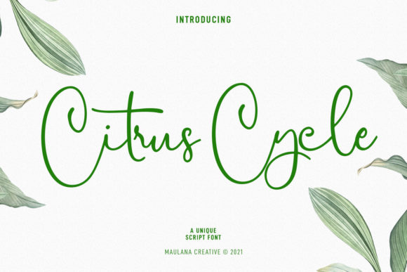 Citrus Cycle Script Font Review