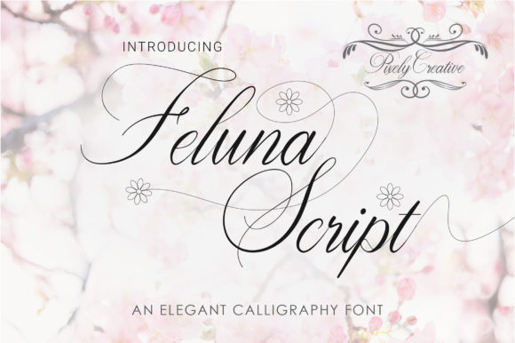 Feluna Script Review