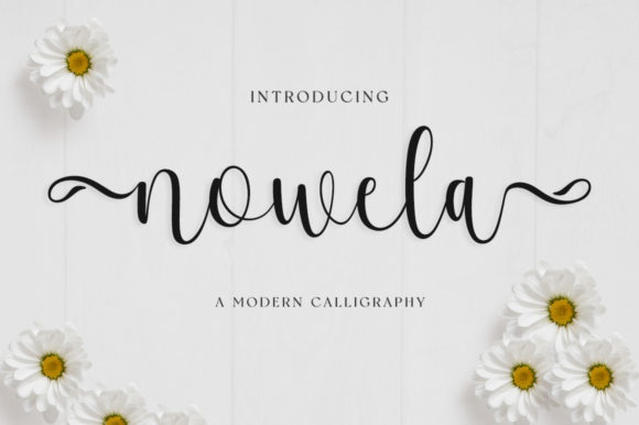 Nowela Script: Elegant Handwritten Font