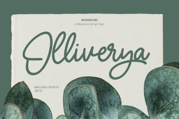 Olliverya Script: A Touch of Elegance