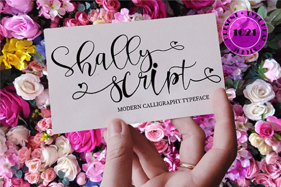 Shally Script Review: A Designer’s Take
